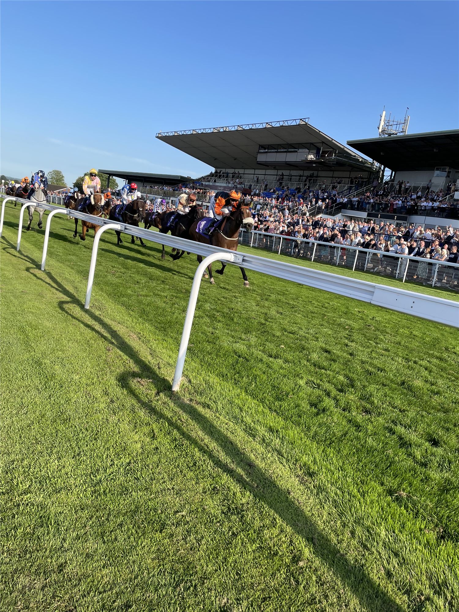 Image of a horse race at Beverley race course showing several horses approaching the finish line and a stand full of spectators in the background